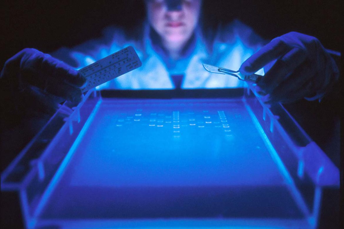 Eller ve Neşter: İş Hayatında Karar Alma Süreçlerine Genel Bir Bakış